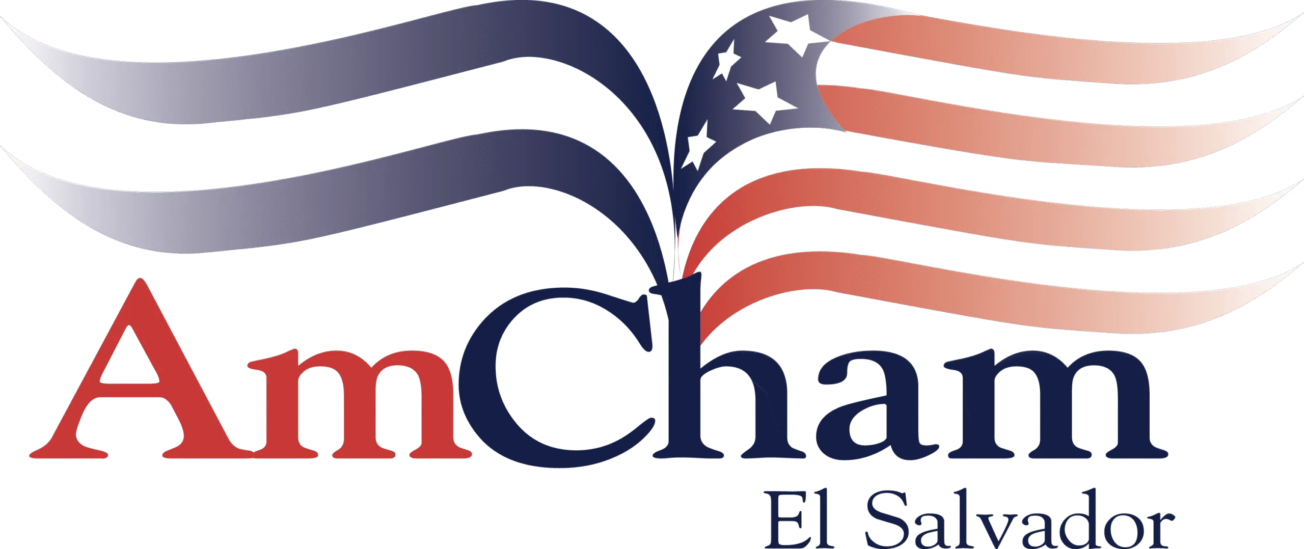 LOGO AMCHAM scaled