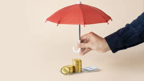 Concepto de protección financiera.